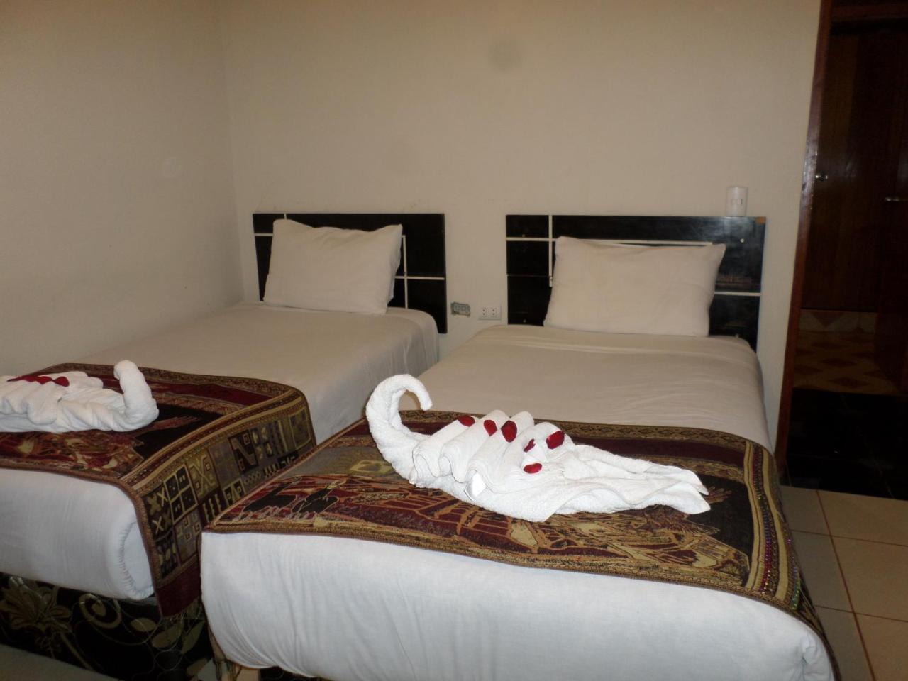 New Day Machu Picchu Hotel Aguas Calientes Exterior photo